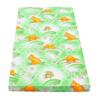 Children''s mattress New Baby 120x60 foam-coconut green pictures