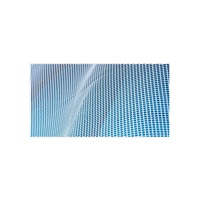 Mosquito net for car seat