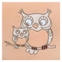 Wrap New Baby Owls coral