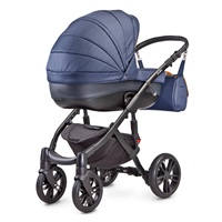 Stroller CAMINI Frontera 2in1 2018 black