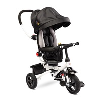 Children's tricycle Toyz WROOM black