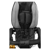 Children‘s tricycle Toyz WROOM black