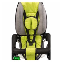 Children‘s tricycle Toyz WROOM green