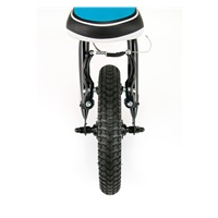 Milly Mally Young mint children‘s bike