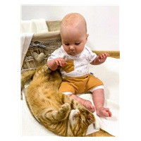 2-Piece Summer Cotton Set New Baby Perfect Summer Brown, size 74 (6-9m)