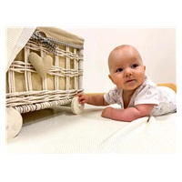 2-Piece Summer Cotton Set New Baby Perfect Summer Brown, size 74 (6-9m)