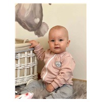Baby Cotton Sweatshirt New Baby BrumBrum old pink, size 80 (9-12m)