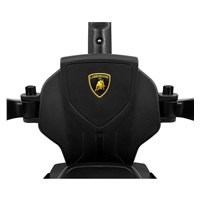 Odrážedlo se zvukem a vodící tyčí Milly Mally LAMBORGHINI ESSENZA SC V12 zelené