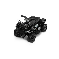 Electric Quad Bike Toyz Mini Raptor black